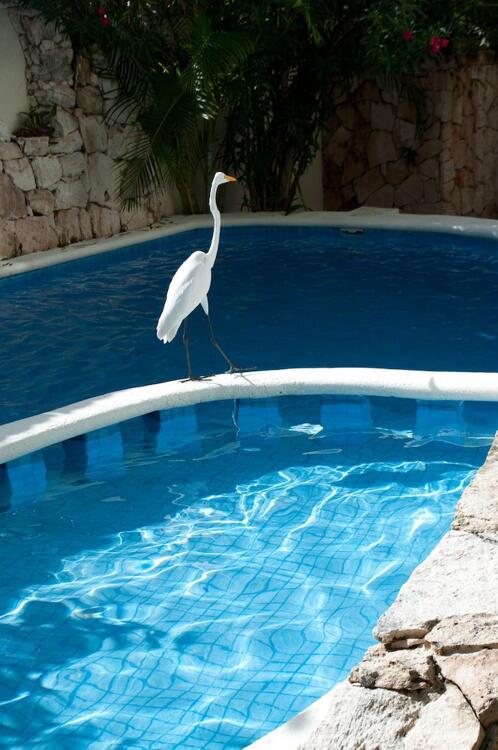 Foto de los servicios de Hotel El Moro