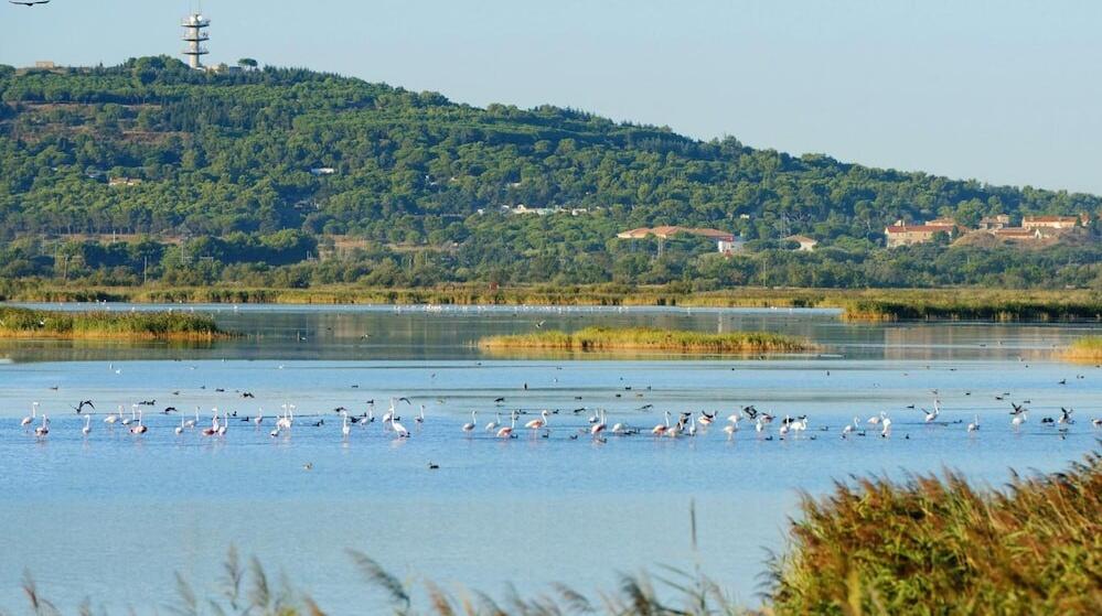 Foto del entorno de Lagrange Grand Bleu Vacances – Résidence Les Pescalunes