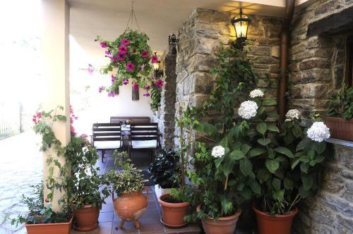 Foto del entorno de Apartamentos Casa María Juanín