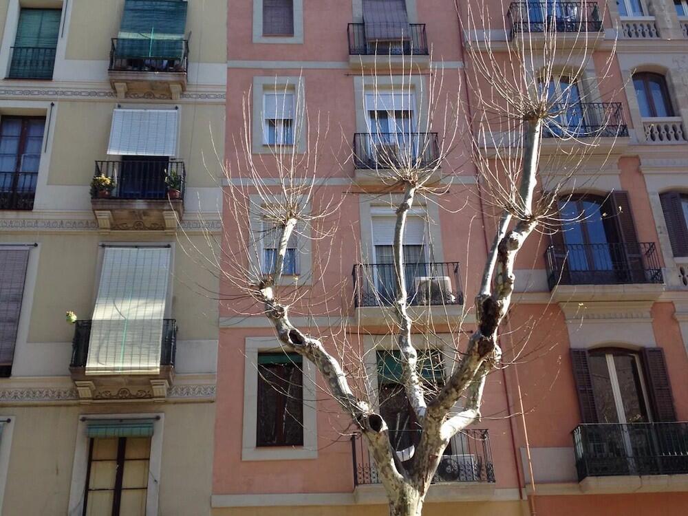 Foto del exterior de Apartamentos Sant Antoni Market
