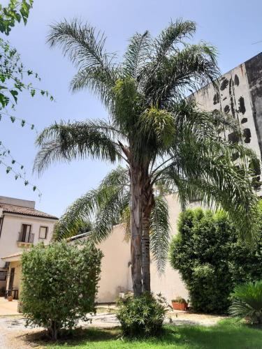 Foto de los servicios de Hotel Residence La Palma