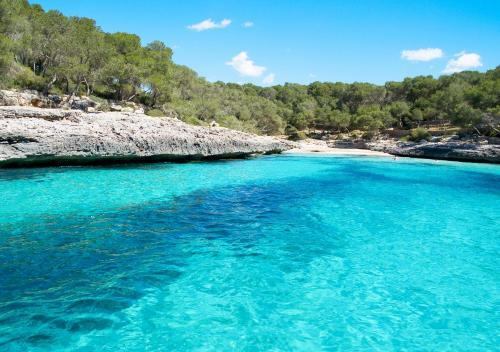Foto del entorno de Apartamentos Vistalmar Mallorca