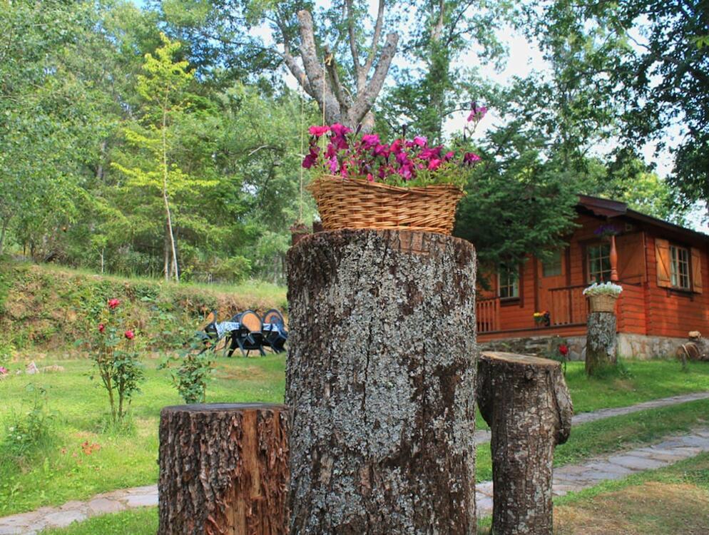 Foto del exterior de Cabañas de Madera Sanabria