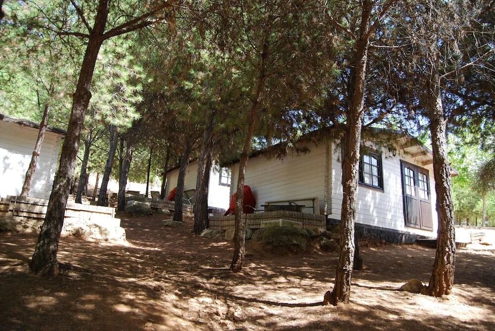 Foto de una habitación de Camping Valdearenas