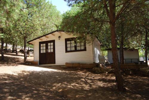 Foto general de Camping Valdearenas