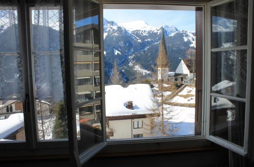 Foto del entorno de Swiss Lodge Hotel Bernerhof