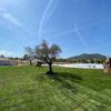 Foto de Hotel S&apos;arena Beach