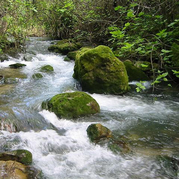 Foto de La Sierra de Grazalema, allá donde más llueve