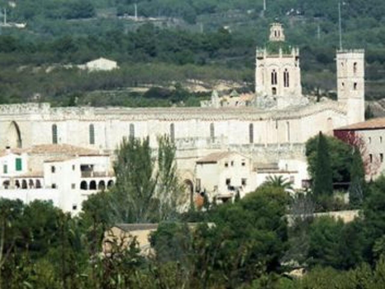 Fotografía de Monasterio de Santes Creus en Aiguamurcia