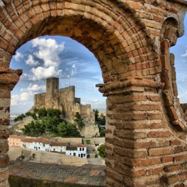 Foto de Recorridos arqueológicos en Almansa