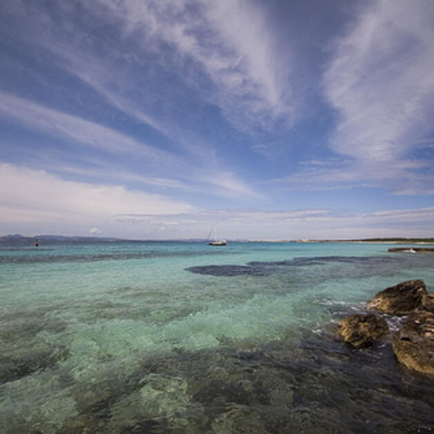 Foto de Cavall d&apos;En Borras, playa en Formentera
