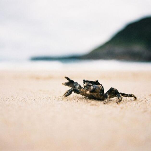 Foto de El Abuelo, Garci, y la playa