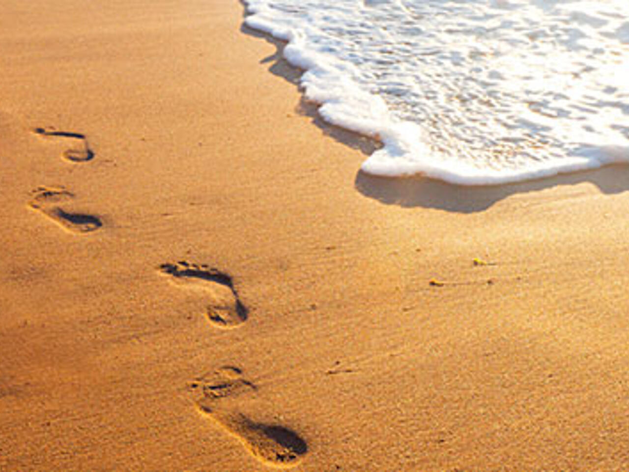 Fotografía de Playa de los Cancajos