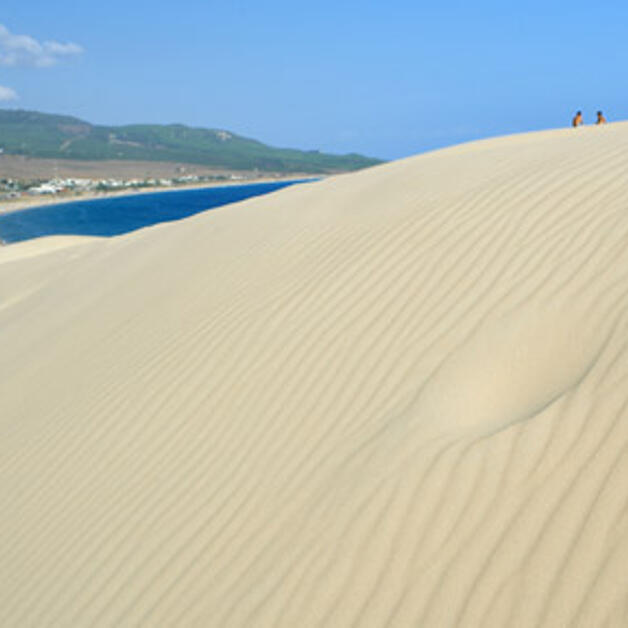 Foto de Baelo Claudia, playa y ruinas gaditanas