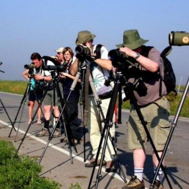 Foto de Observación de aves en Extremadura