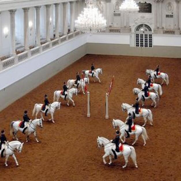 Foto de Escuela española de equitación