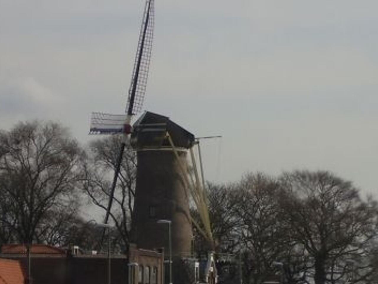 Fotografía de Molino en Gouda