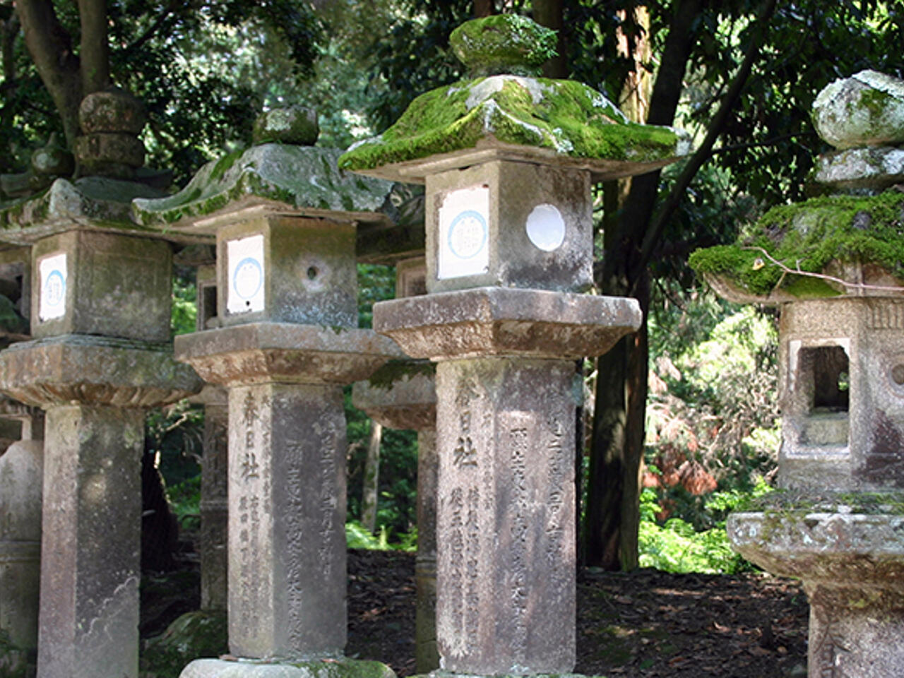 Fotografía de Kyoto