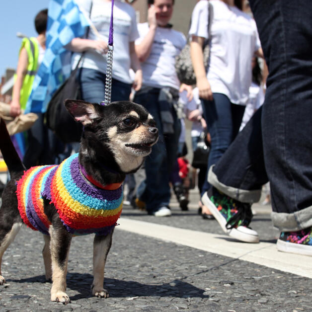 Foto de Dublin Gay