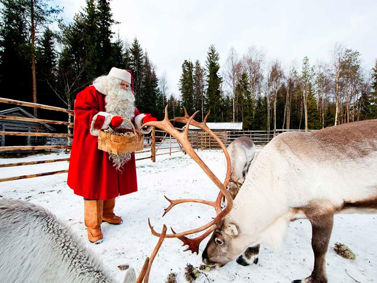Fotografía de Papa Noel Laponia Finlandia
