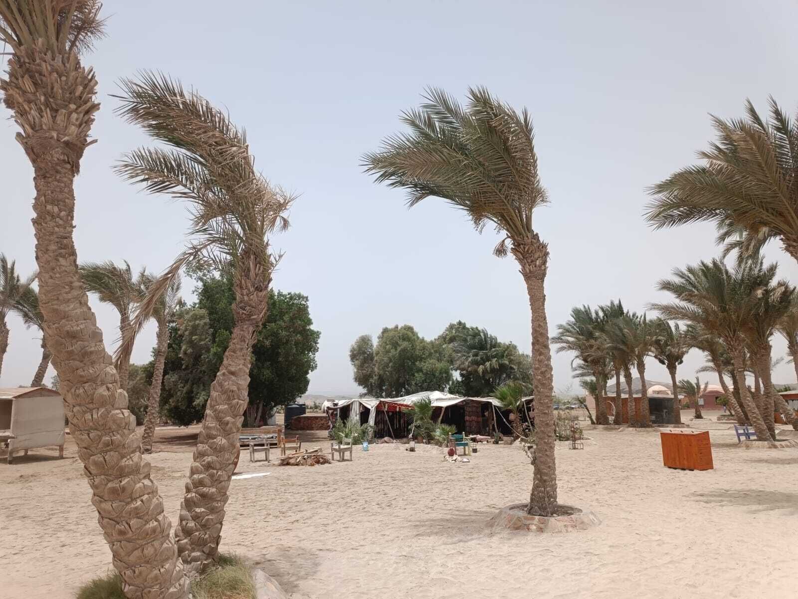 Abu Dabab
