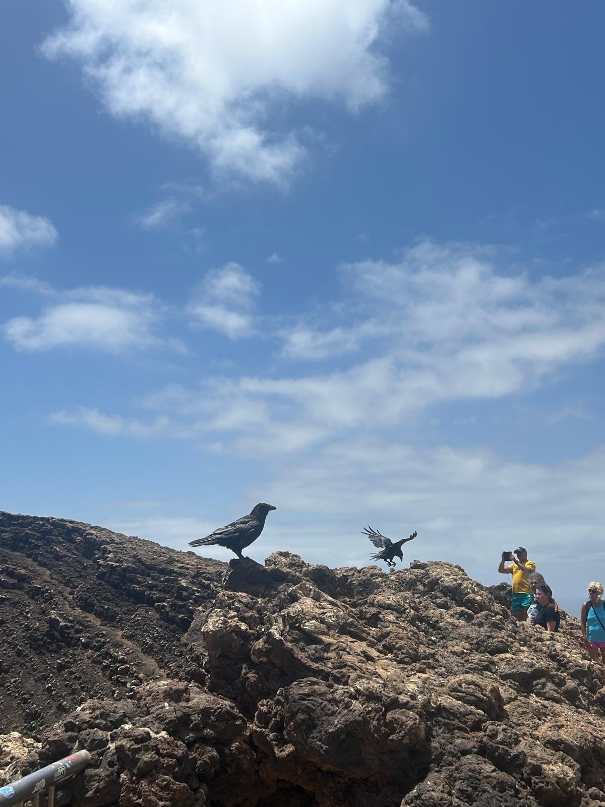 Aeropuerto de Fuerteventura