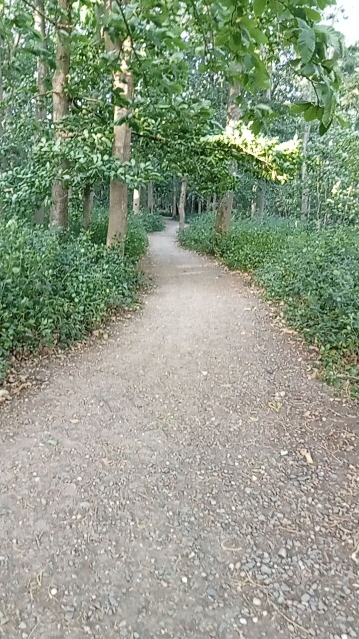 Birmingham