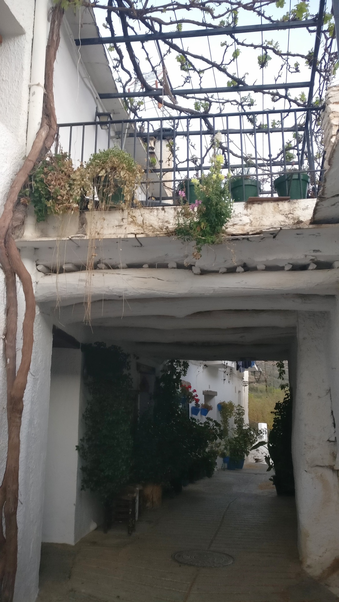 Capileira
