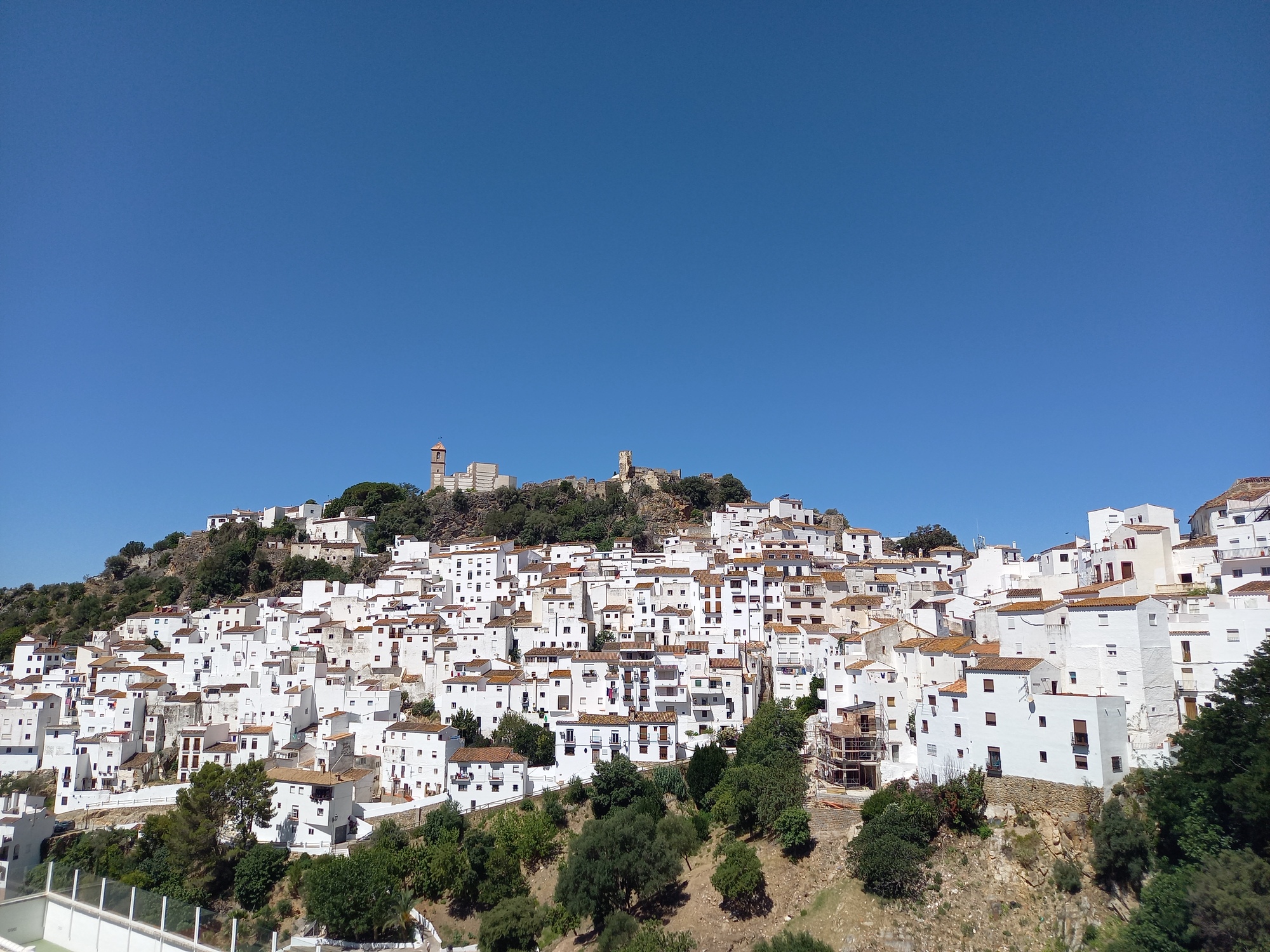 Casares