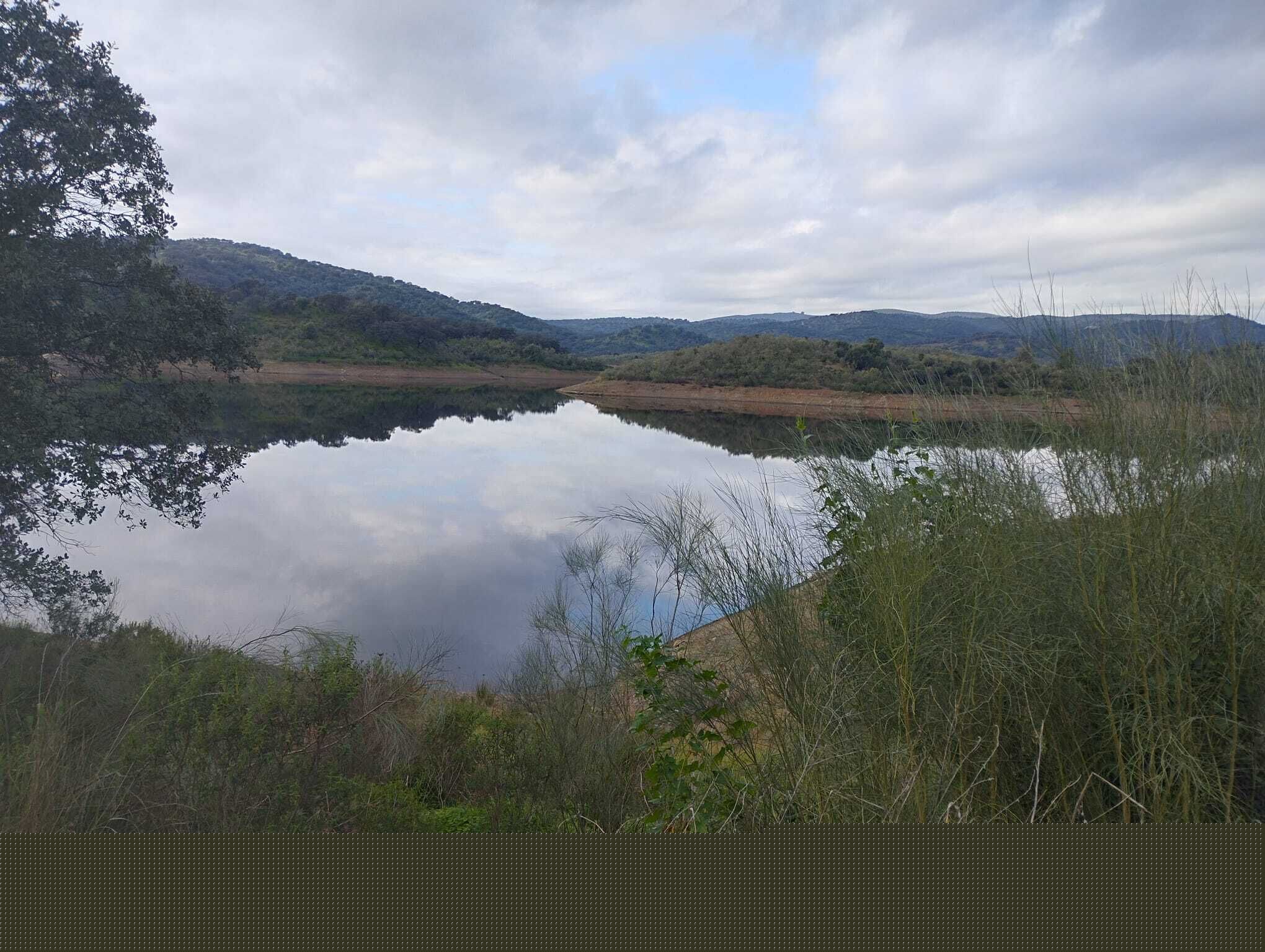 El Ronquillo