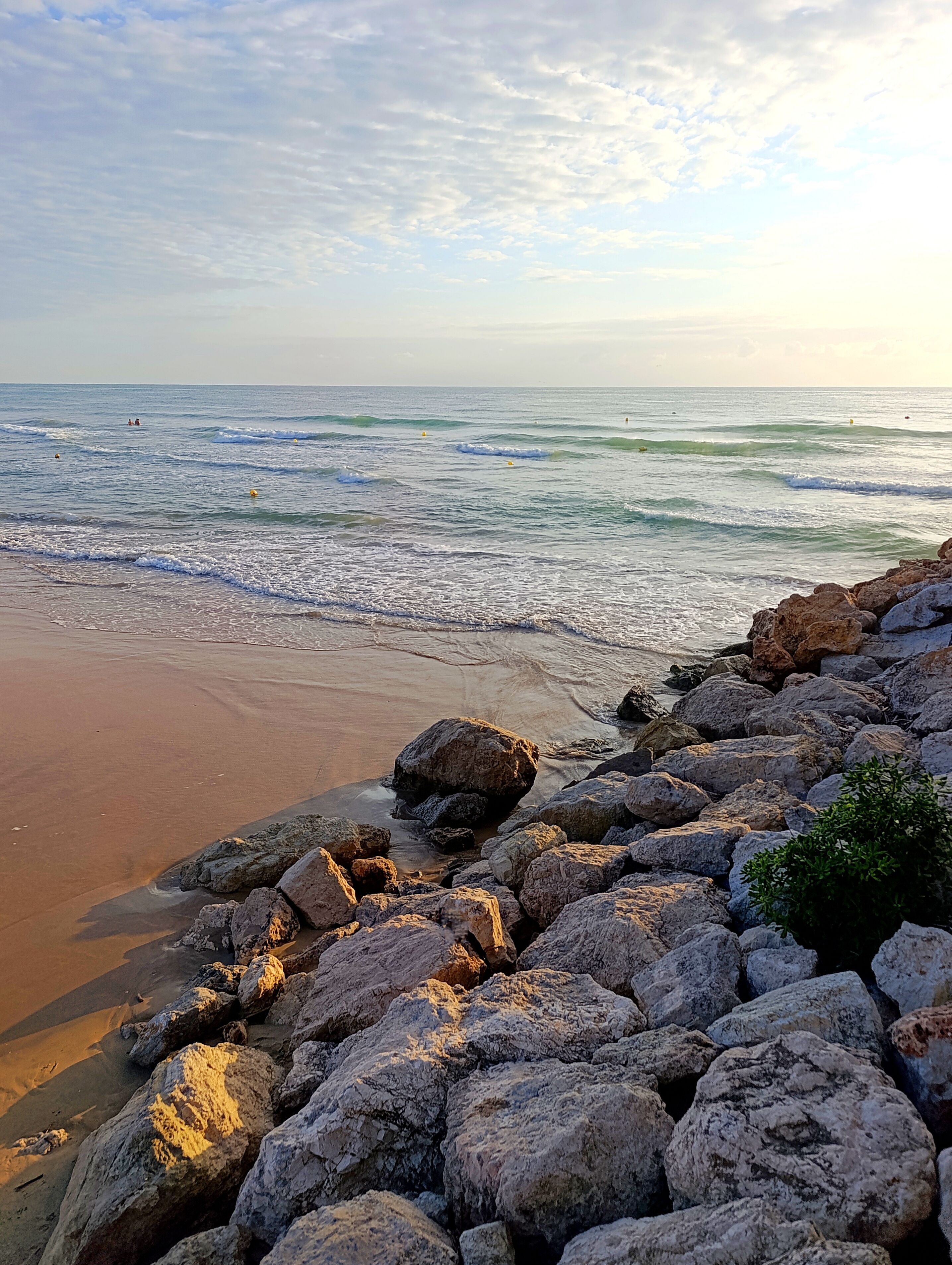 Gandia