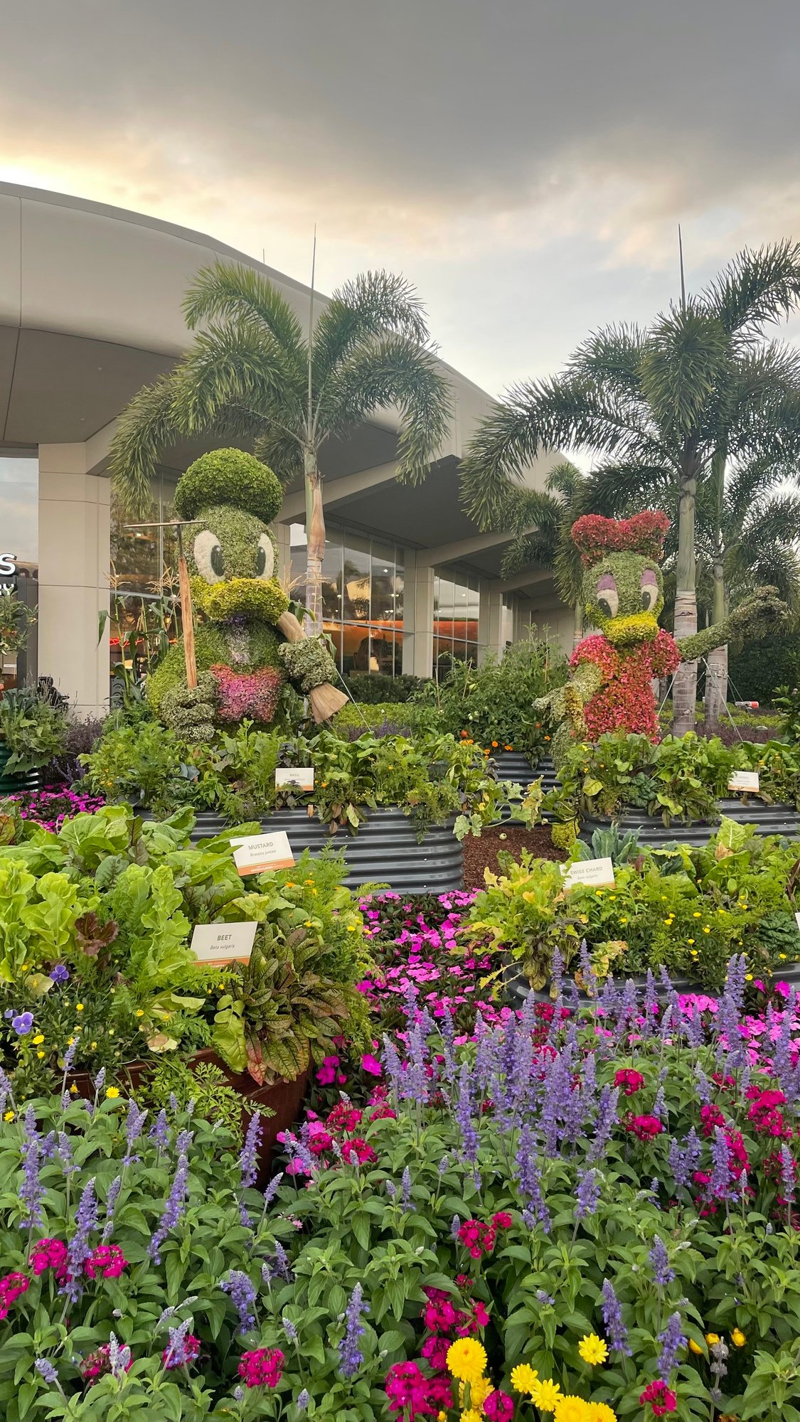 Lake Buena Vista
