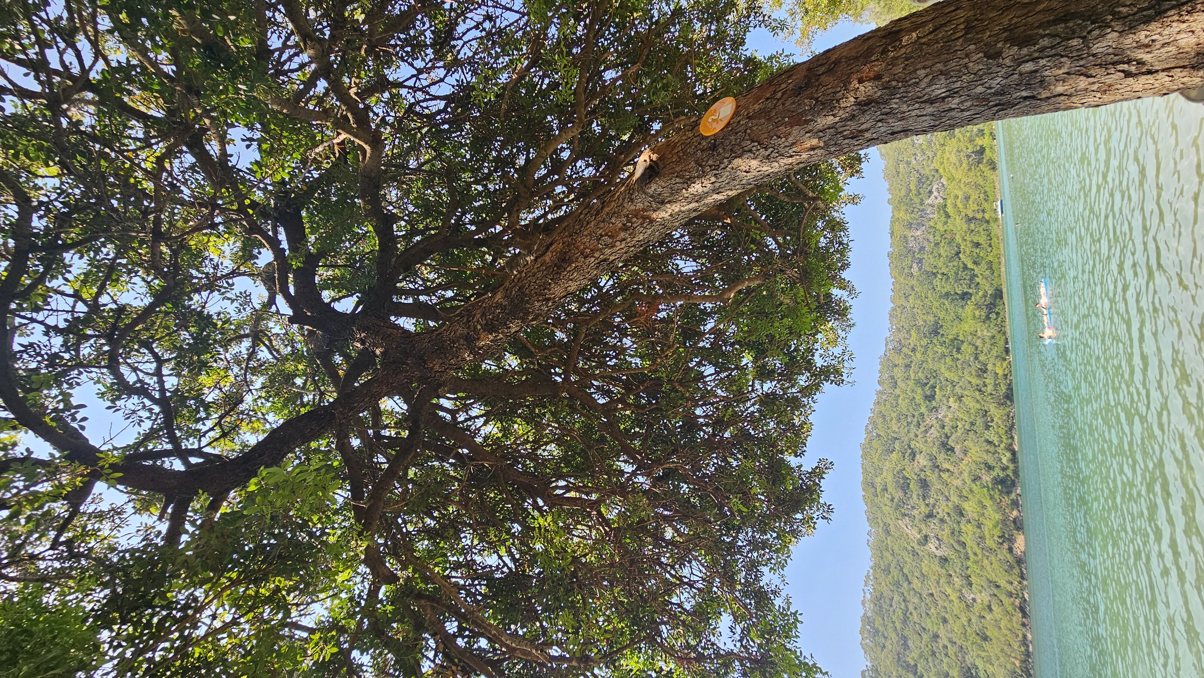 Oludeniz
