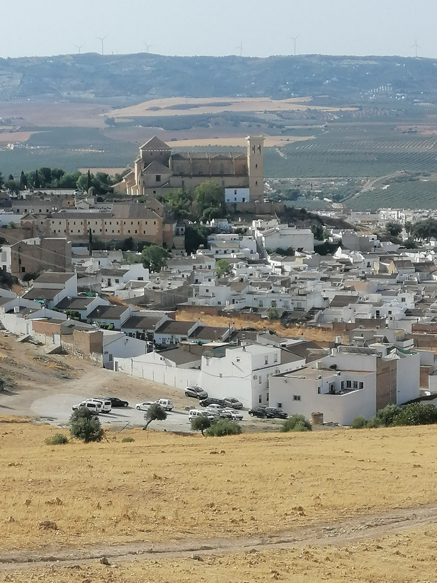 Osuna