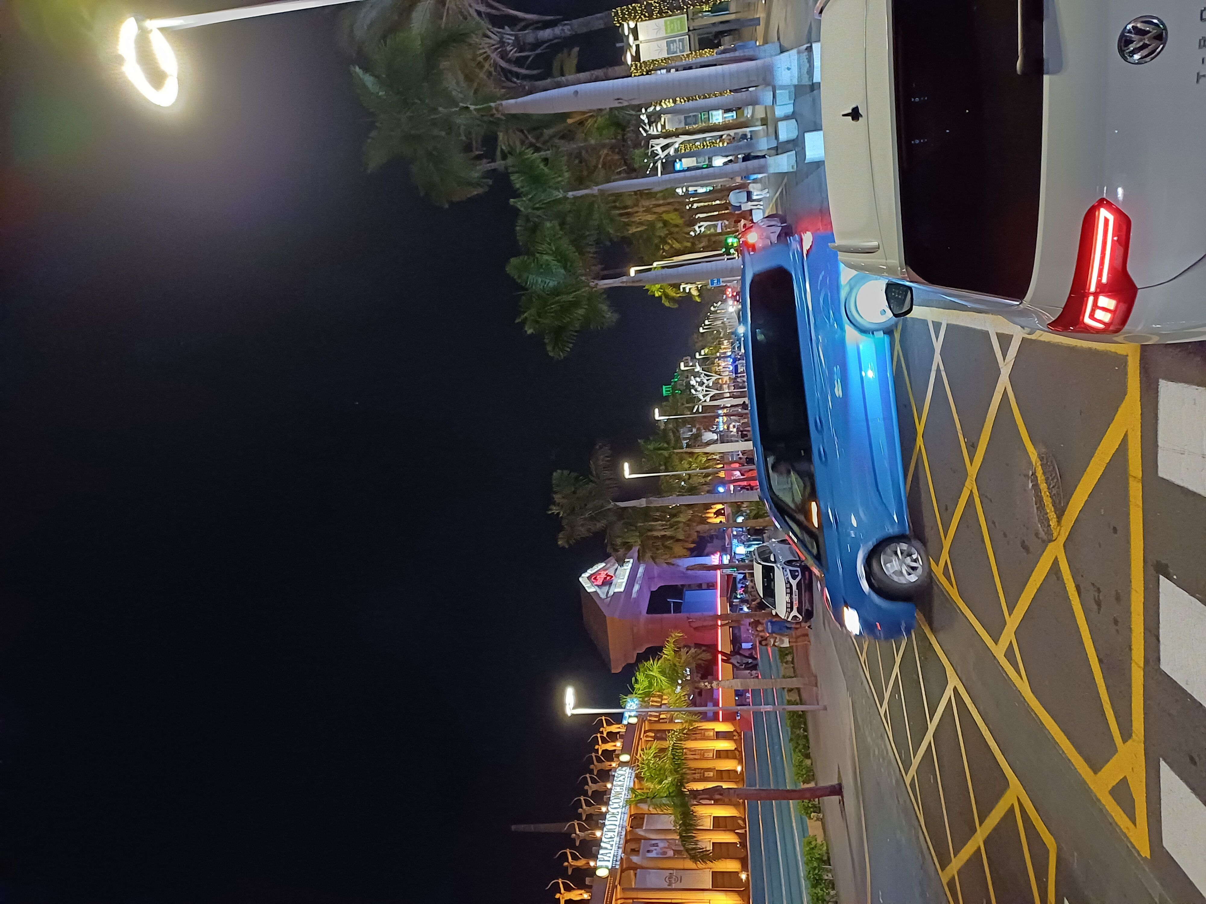 Playa de las Americas