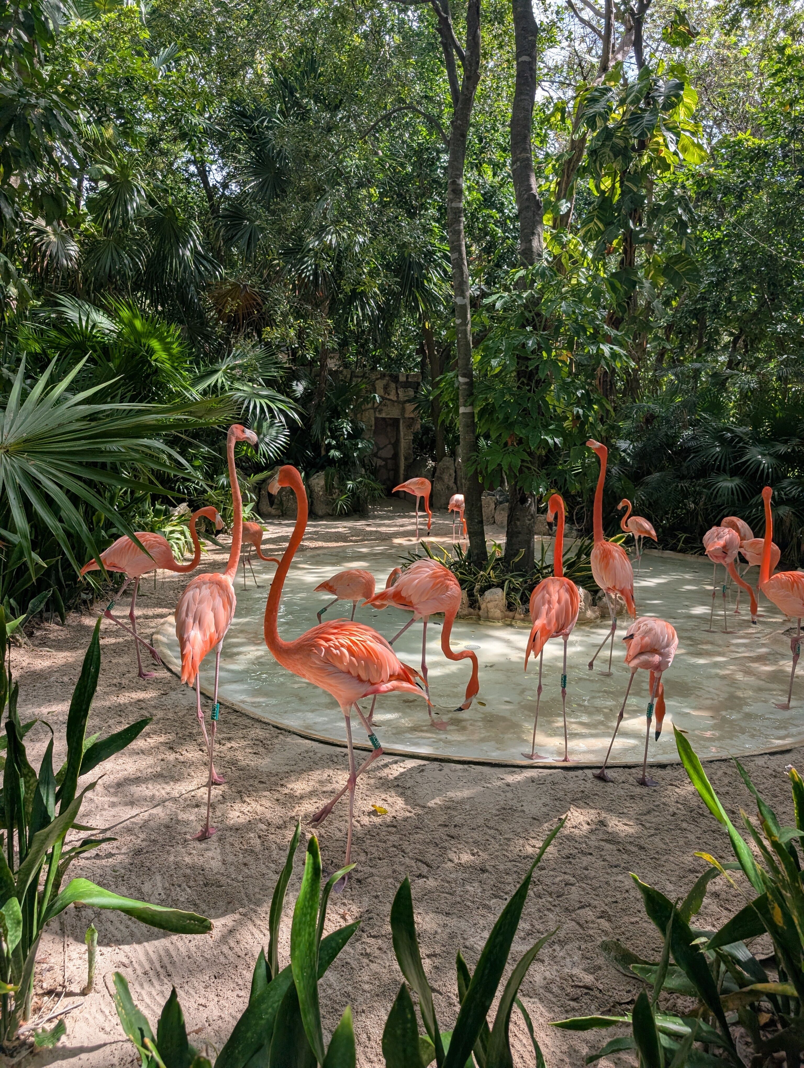 Playa del Carmen
