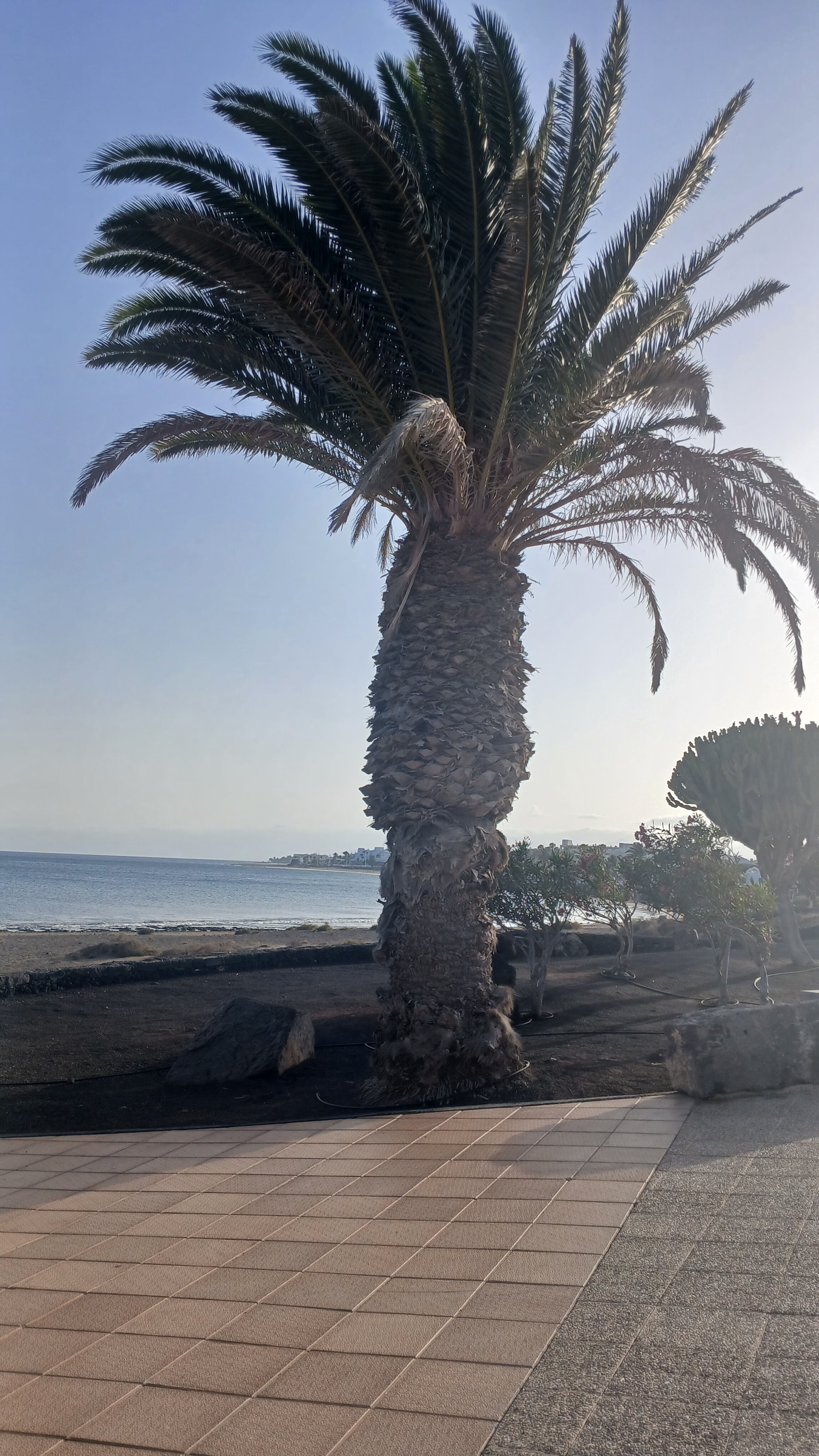 Puerto del Carmen