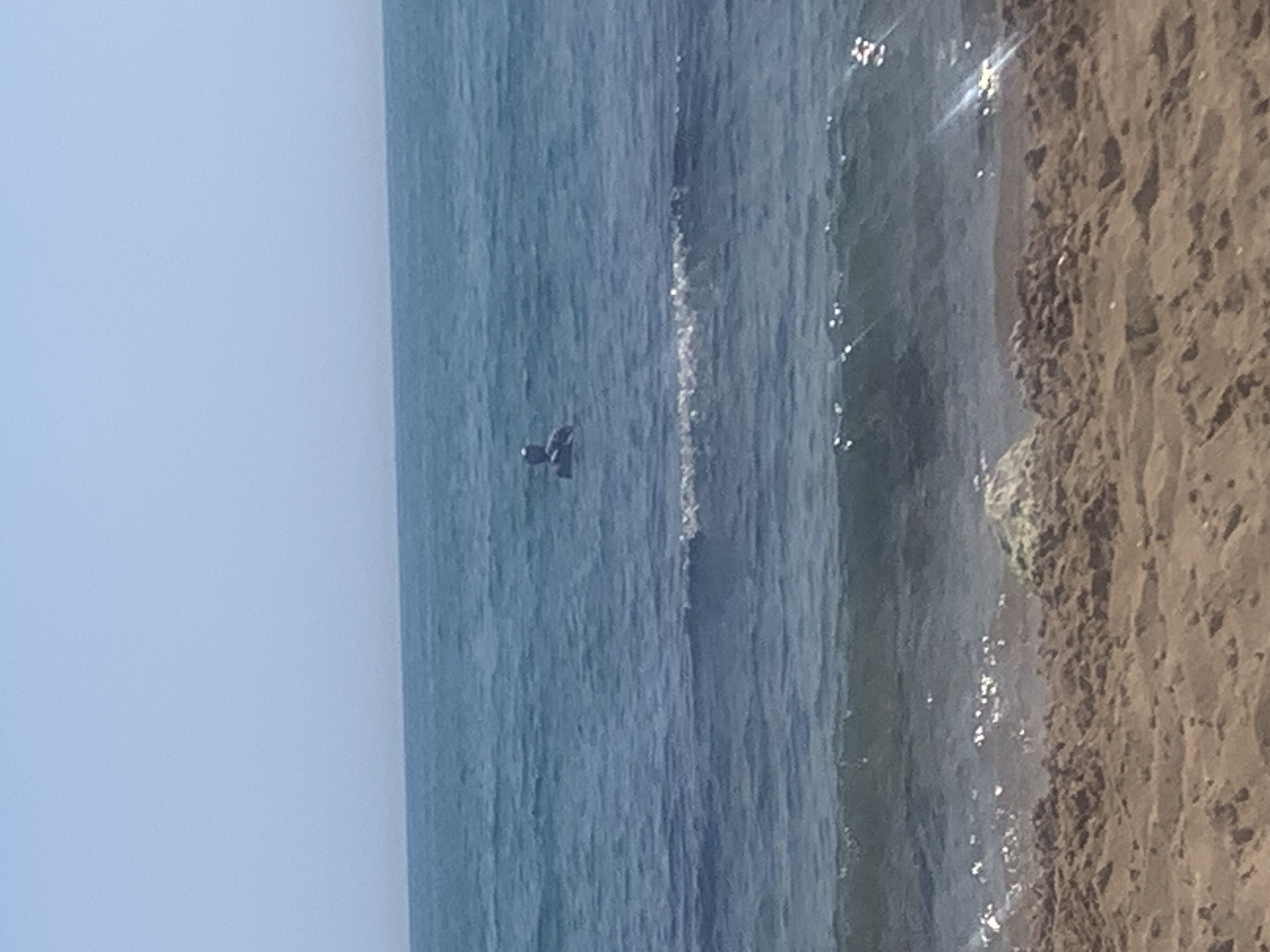 Torrevieja