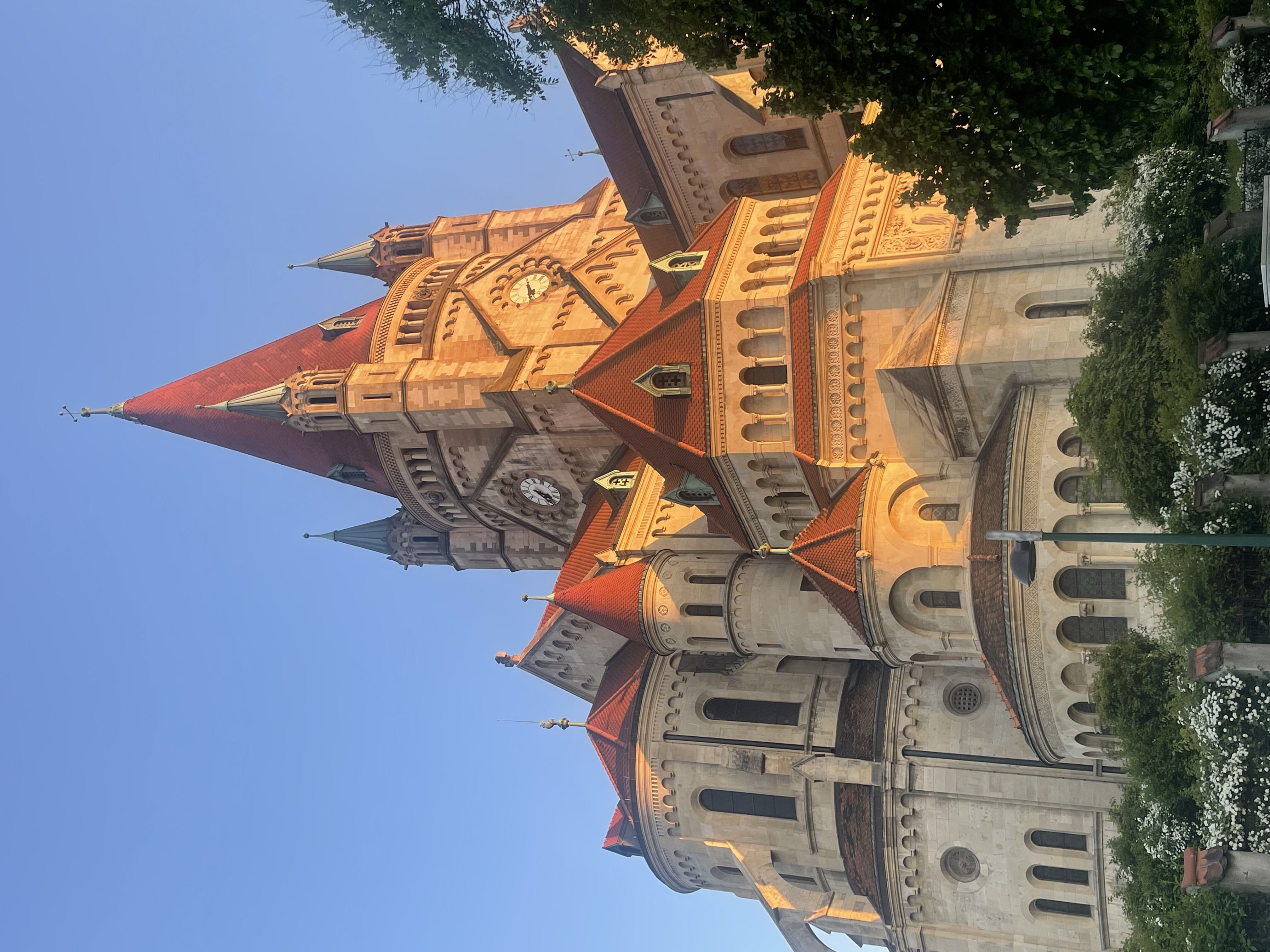 Viena
