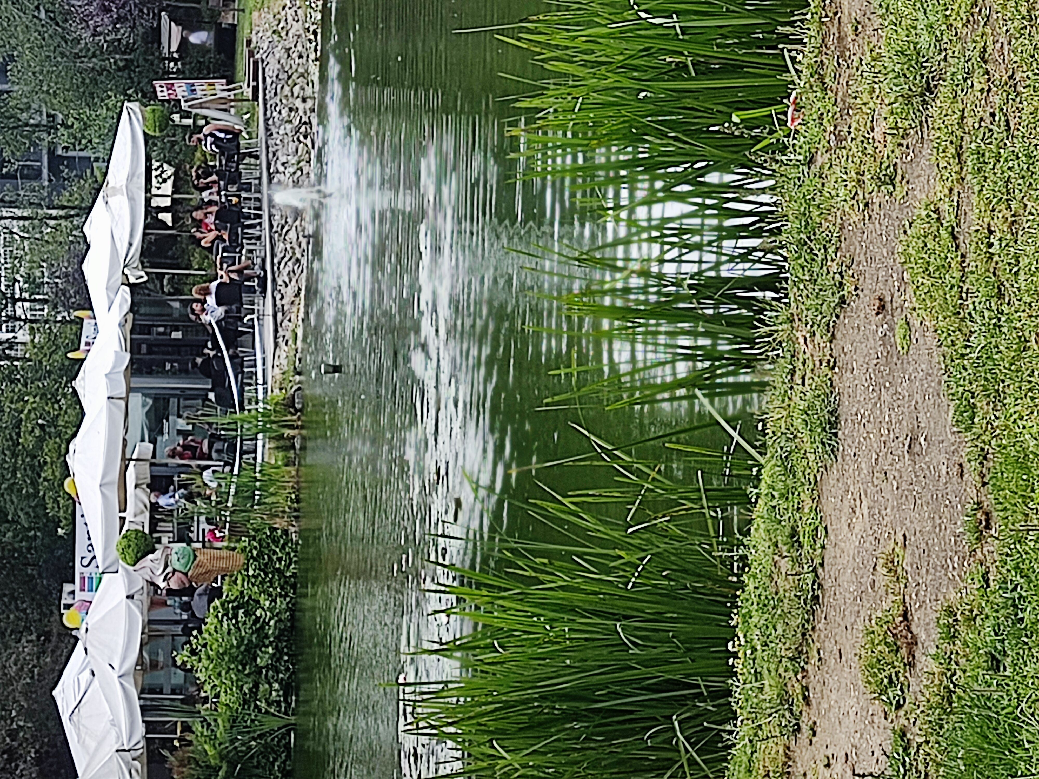 Viseu
